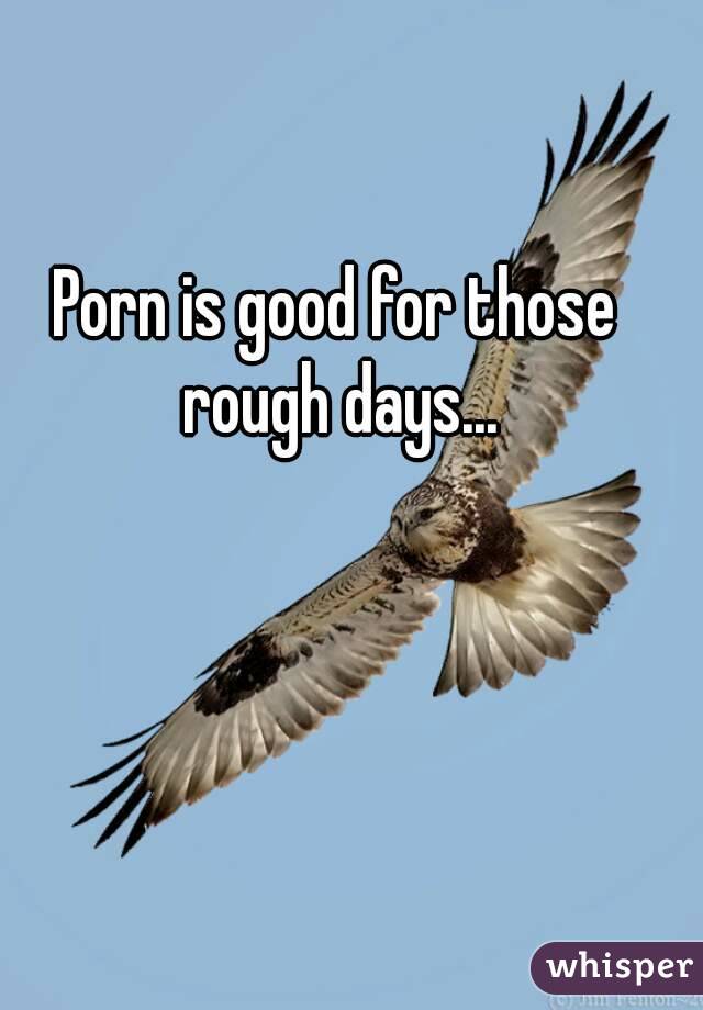 Porn is good for those rough days...