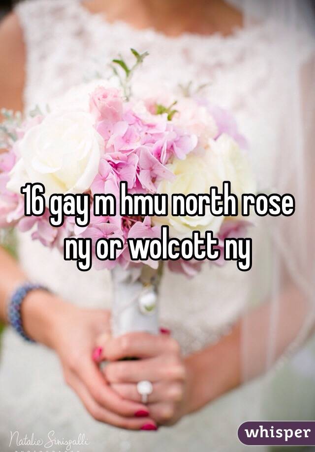 16 gay m hmu north rose ny or wolcott ny 