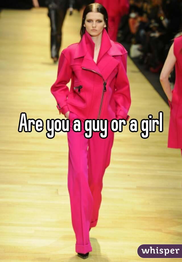 Are you a guy or a girl