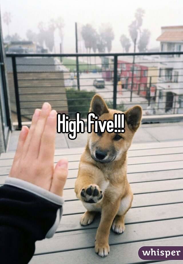 High five!!!