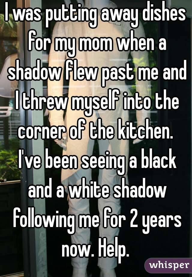 I was putting away dishes for my mom when a shadow flew past me and I threw myself into the corner of the kitchen.  I've been seeing a black and a white shadow following me for 2 years now. Help. 
