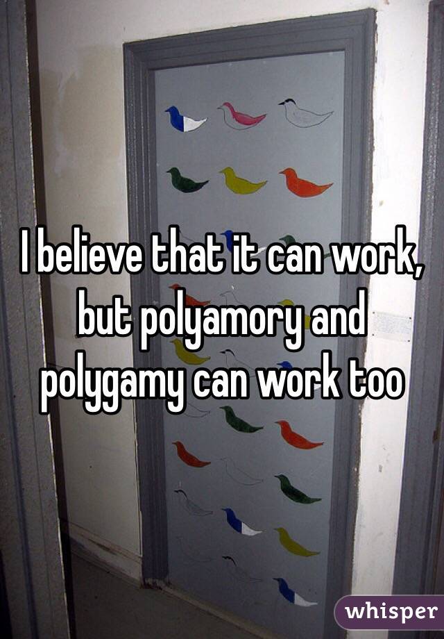 I believe that it can work, but polyamory and polygamy can work too