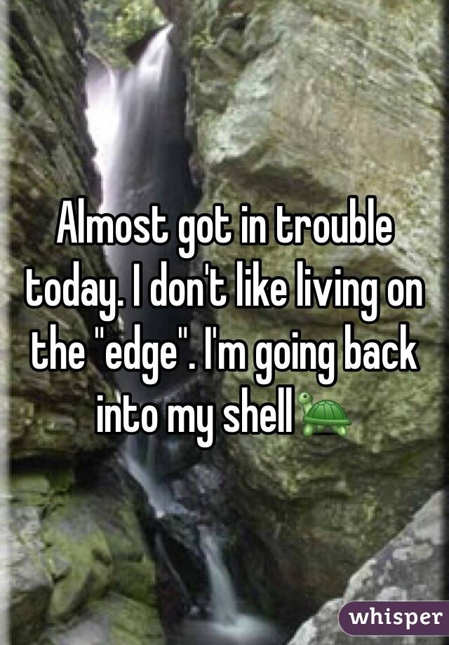 Almost got in trouble today. I don't like living on the "edge". I'm going back into my shell🐢