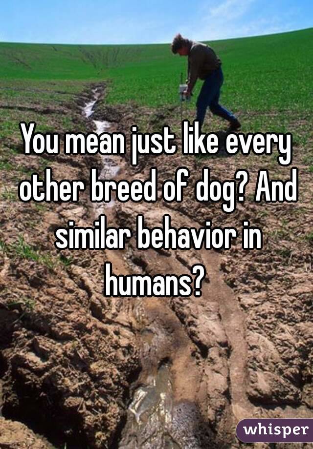 You mean just like every other breed of dog? And similar behavior in humans? 