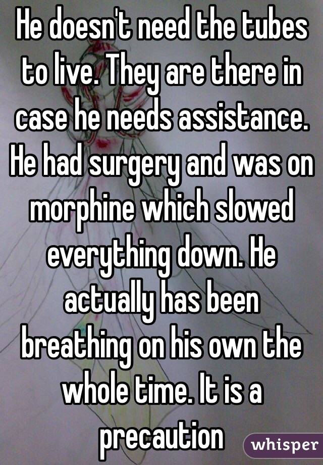 He doesn't need the tubes to live. They are there in case he needs assistance. He had surgery and was on morphine which slowed everything down. He actually has been breathing on his own the whole time. It is a precaution 