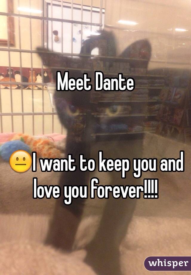 Meet Dante 


😐I want to keep you and love you forever!!!!