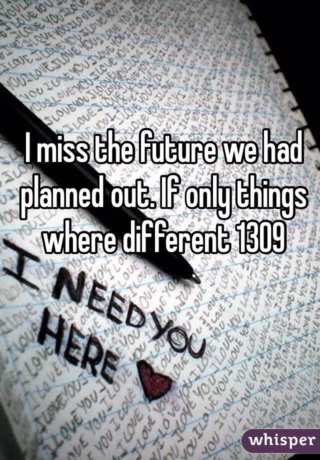 I miss the future we had planned out. If only things where different 1309