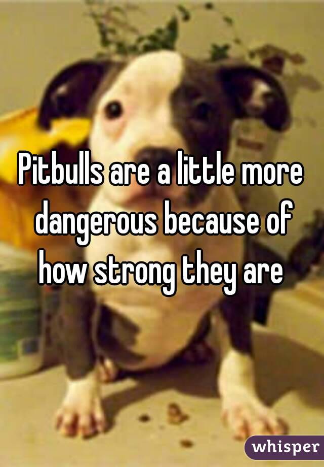 Pitbulls are a little more dangerous because of how strong they are 