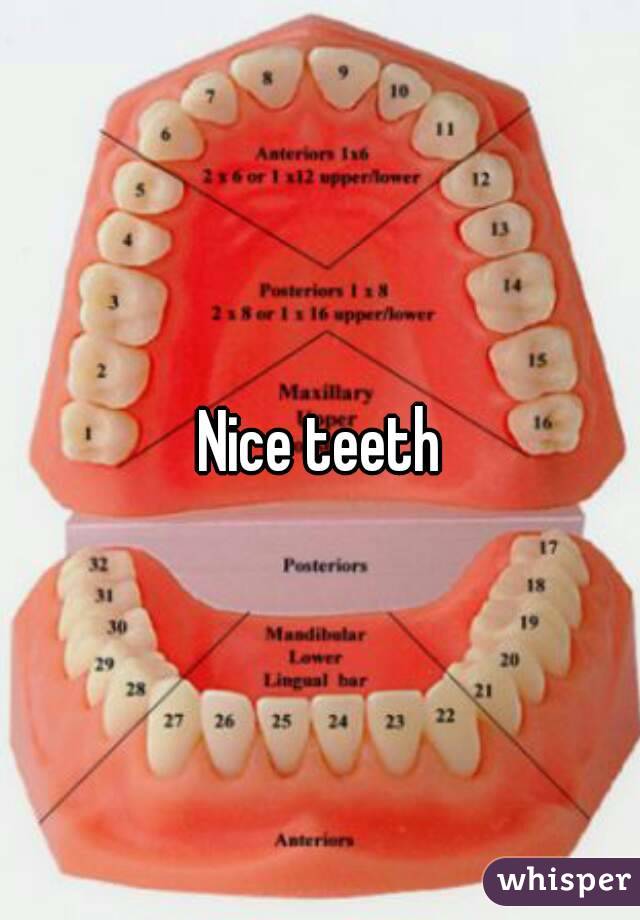Nice teeth