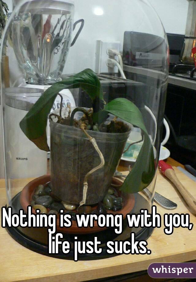 Nothing is wrong with you, life just sucks.