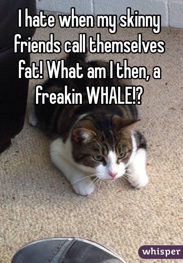 I hate when my skinny friends call themselves fat! What am I then, a freakin WHALE!?