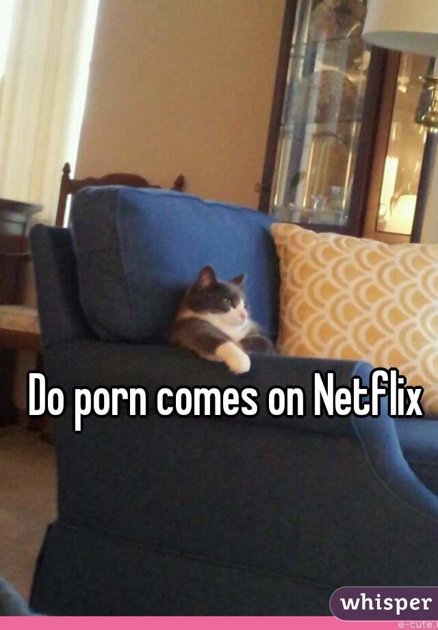 Do porn comes on Netflix 