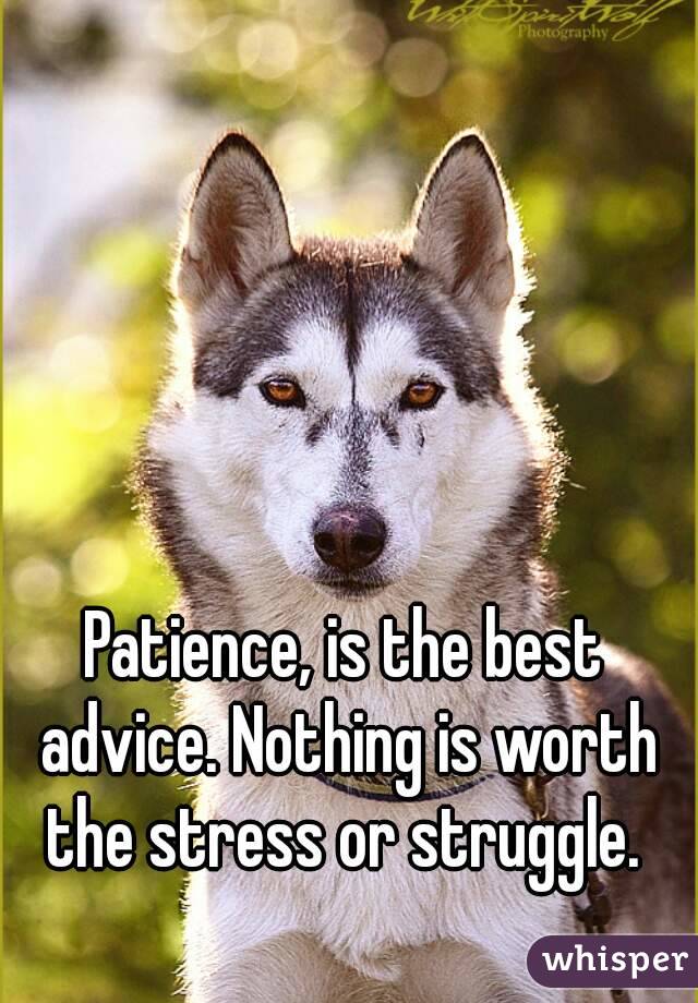 Patience, is the best advice. Nothing is worth the stress or struggle. 