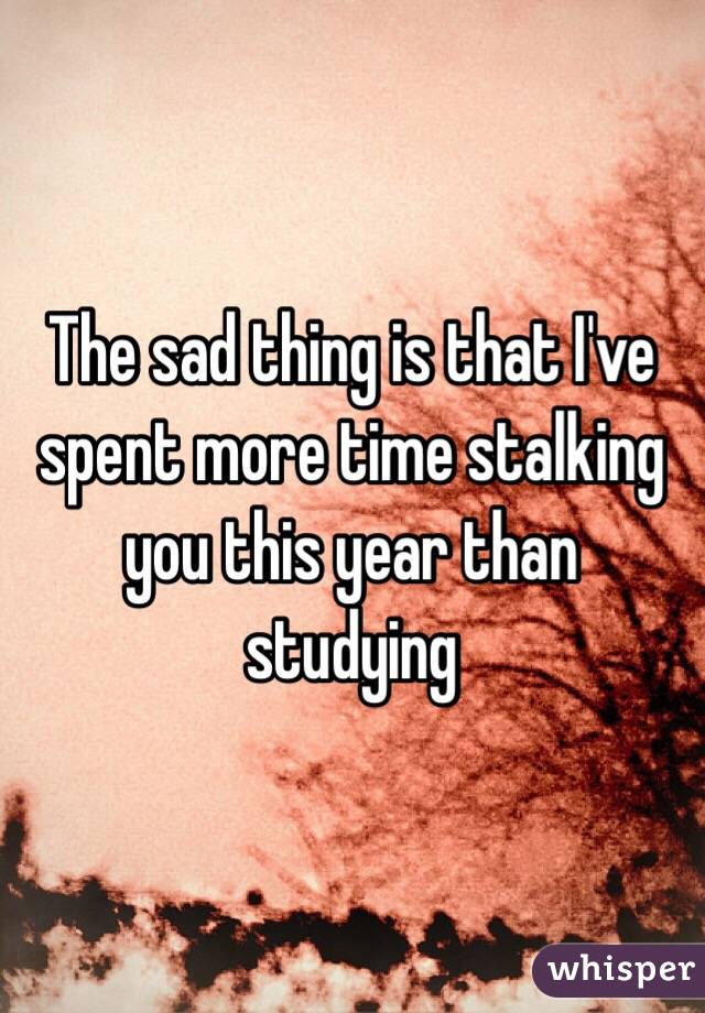 The sad thing is that I've spent more time stalking you this year than studying 