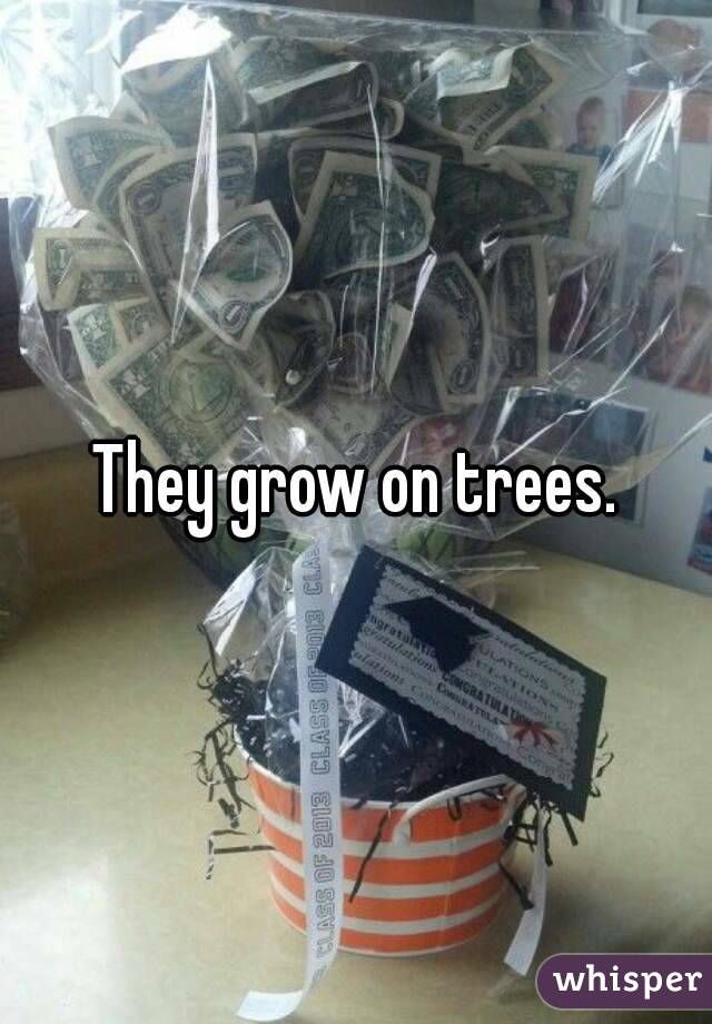 They grow on trees.
