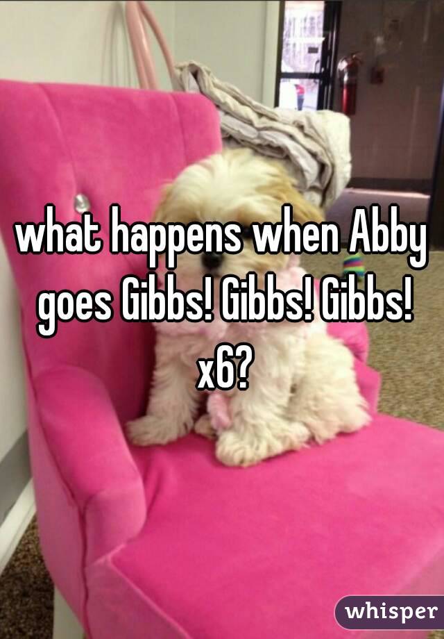 what happens when Abby goes Gibbs! Gibbs! Gibbs! x6?