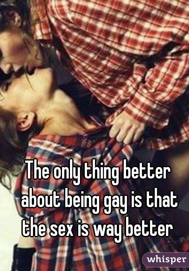 The only thing better about being gay is that the sex is way better 