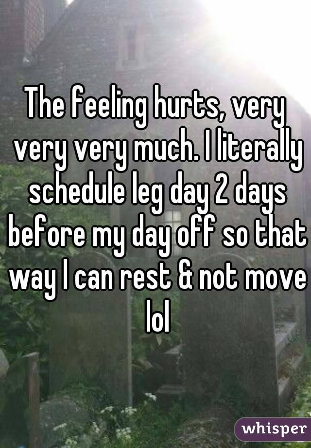 The feeling hurts, very very very much. I literally schedule leg day 2 days before my day off so that way I can rest & not move lol