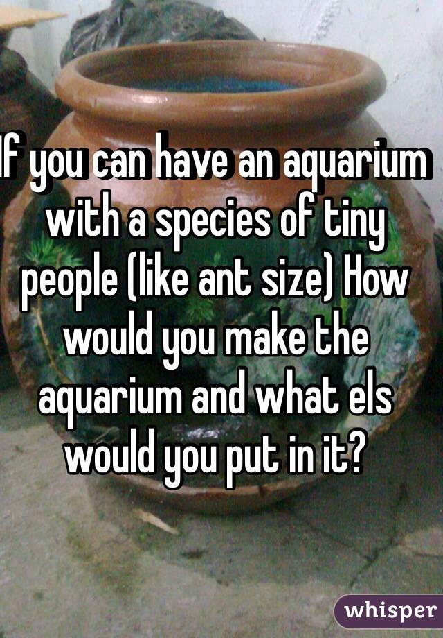 If you can have an aquarium with a species of tiny people (like ant size) How would you make the aquarium and what els would you put in it?