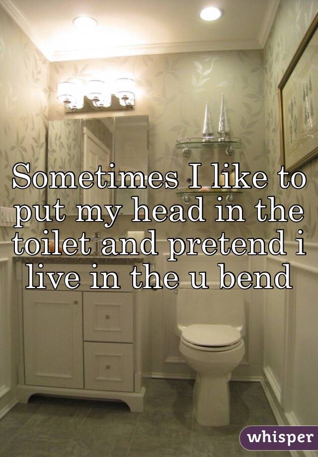 Sometimes I like to put my head in the toilet and pretend i live in the u bend 