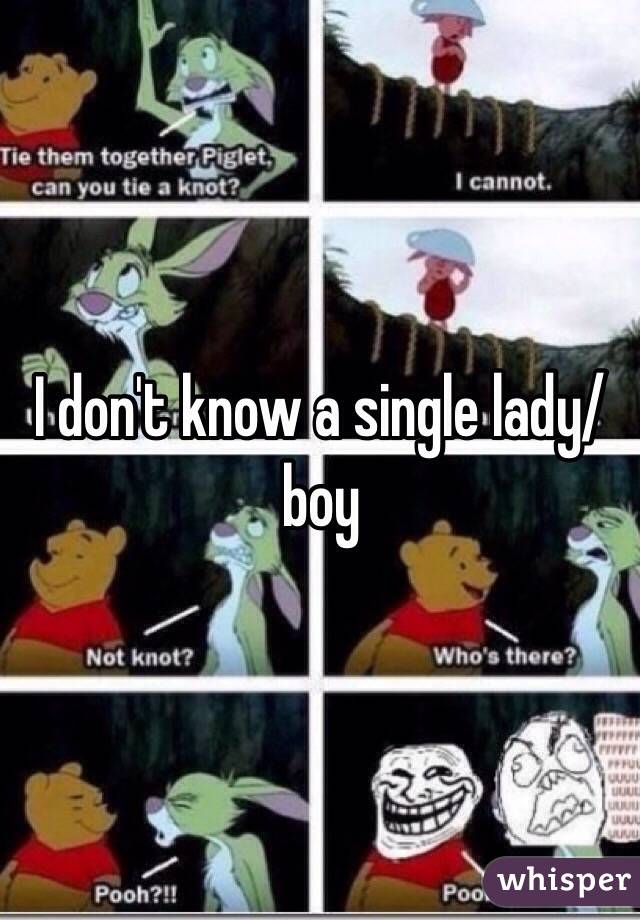 I don't know a single lady/boy