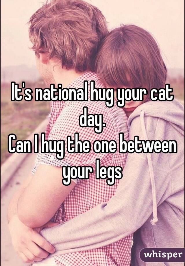 It's national hug your cat day. 
Can I hug the one between your legs