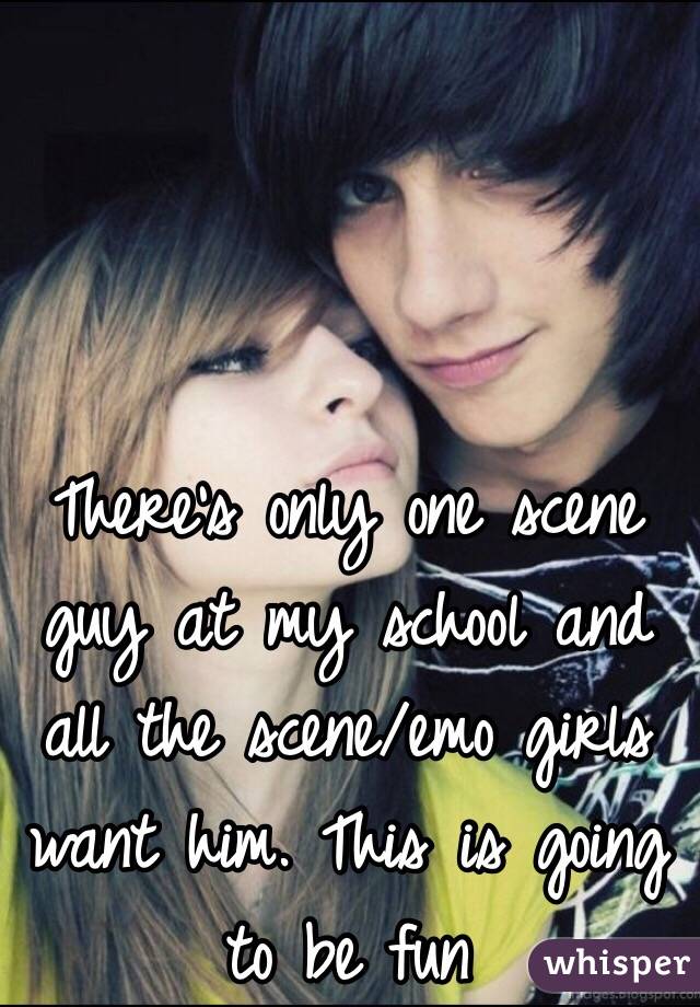 There's only one scene guy at my school and all the scene/emo girls want him. This is going to be fun