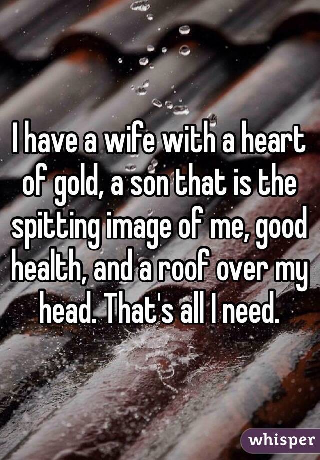 I have a wife with a heart of gold, a son that is the spitting image of me, good health, and a roof over my head. That's all I need.