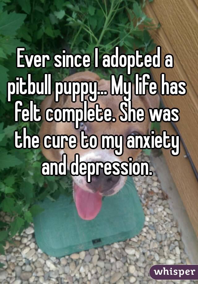 Ever since I adopted a pitbull puppy... My life has felt complete. She was the cure to my anxiety and depression.