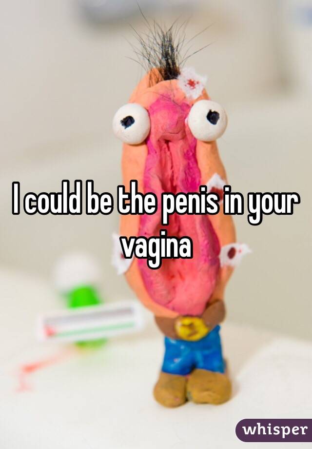 I could be the penis in your vagina