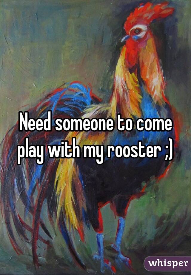 Need someone to come play with my rooster ;) 