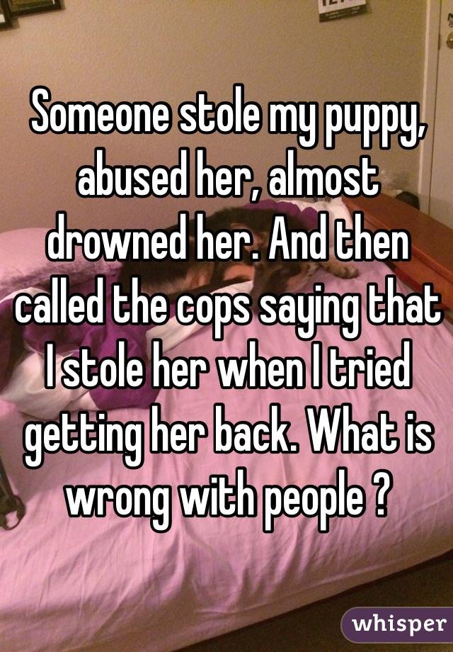 Someone stole my puppy, abused her, almost drowned her. And then called the cops saying that I stole her when I tried getting her back. What is wrong with people ?