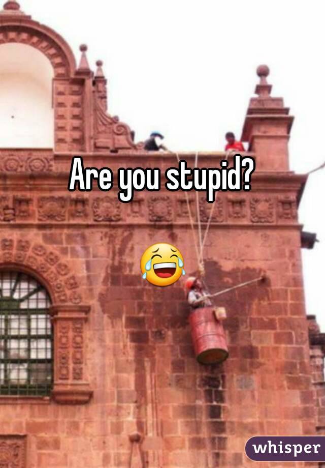 Are you stupid?

😂