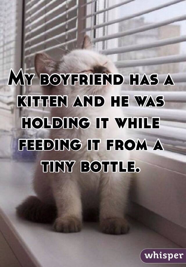 My boyfriend has a kitten and he was holding it while feeding it from a tiny bottle. 