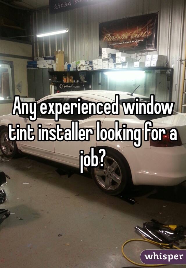 Any experienced window tint installer looking for a job?