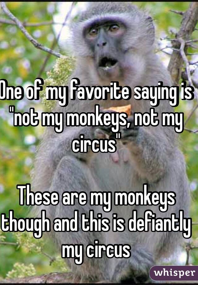 One of my favorite saying is "not my monkeys, not my circus"

These are my monkeys though and this is defiantly my circus