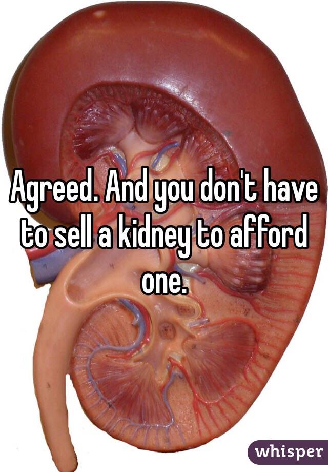 Agreed. And you don't have to sell a kidney to afford one. 