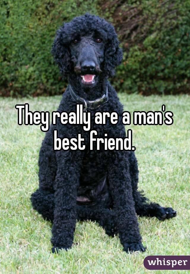 They really are a man's best friend. 