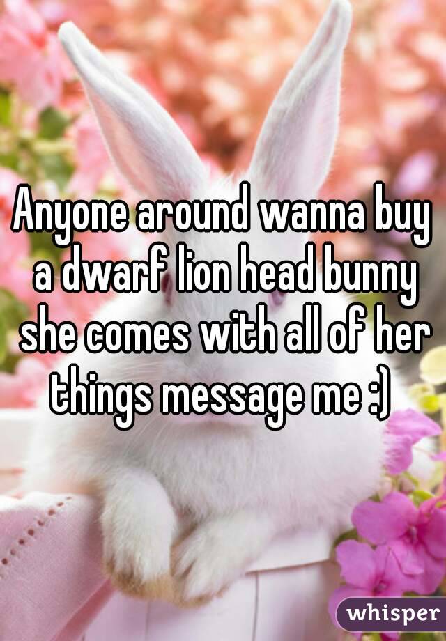Anyone around wanna buy a dwarf lion head bunny she comes with all of her things message me :) 