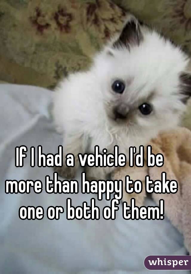 If I had a vehicle I'd be more than happy to take one or both of them!