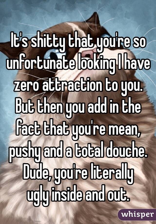 It's shitty that you're so unfortunate looking I have zero attraction to you. But then you add in the fact that you're mean, pushy and a total douche. Dude, you're literally 
ugly inside and out. 