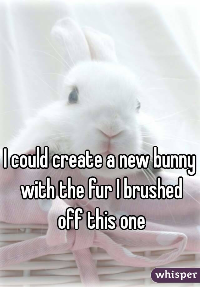 I could create a new bunny with the fur I brushed off this one