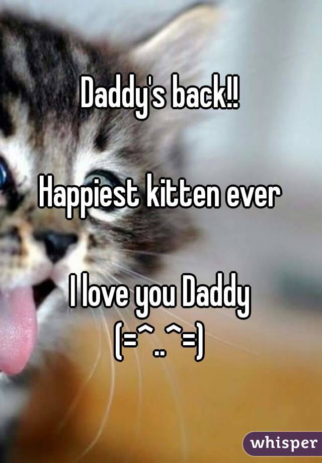 Daddy's back!!

Happiest kitten ever

I love you Daddy
(=^..^=)