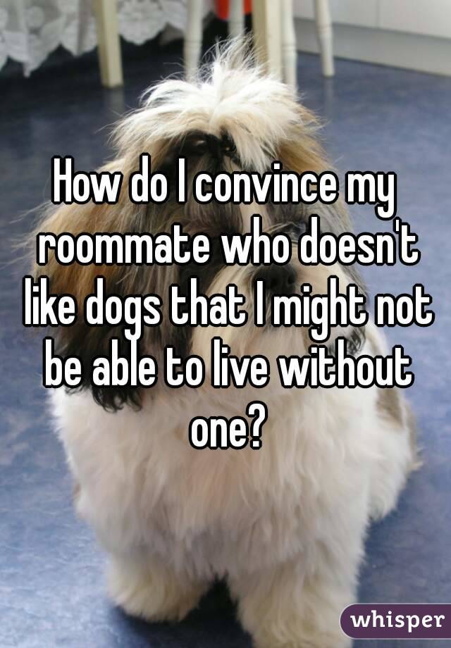 How do I convince my roommate who doesn't like dogs that I might not be able to live without one?