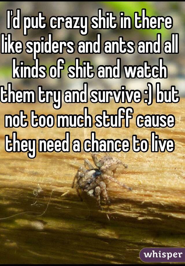 I'd put crazy shit in there like spiders and ants and all kinds of shit and watch them try and survive :) but not too much stuff cause they need a chance to live