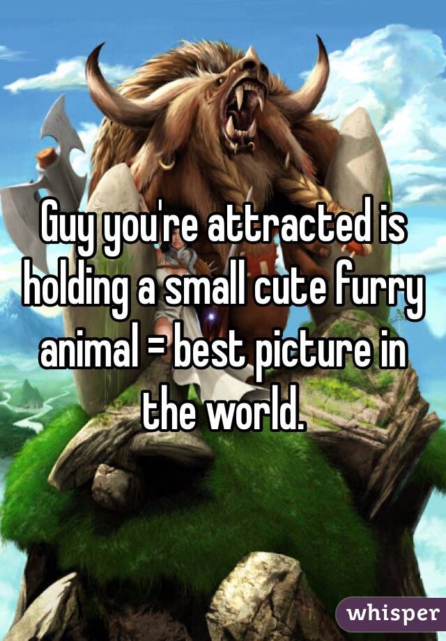 Guy you're attracted is holding a small cute furry animal = best picture in the world.