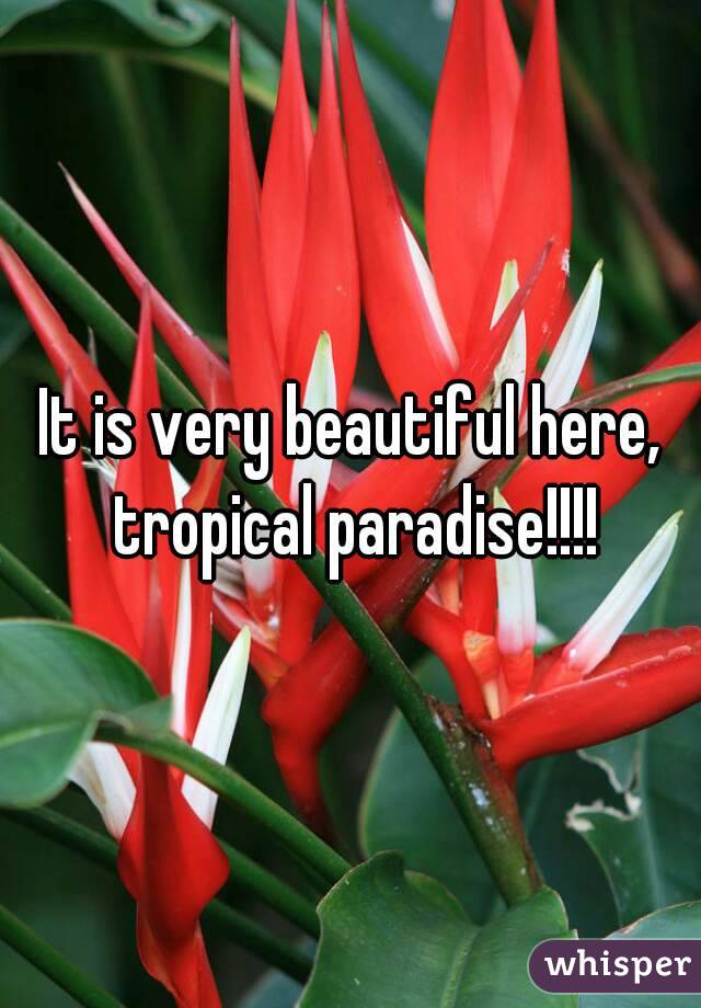 It is very beautiful here, tropical paradise!!!!
