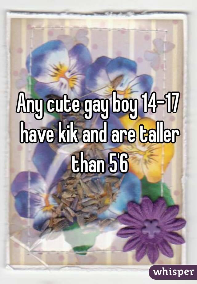 Any cute gay boy 14-17 have kik and are taller than 5'6