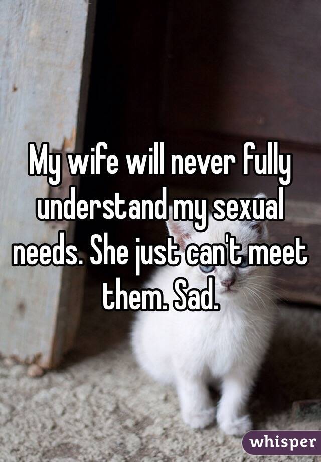 My wife will never fully understand my sexual needs. She just can't meet them. Sad.