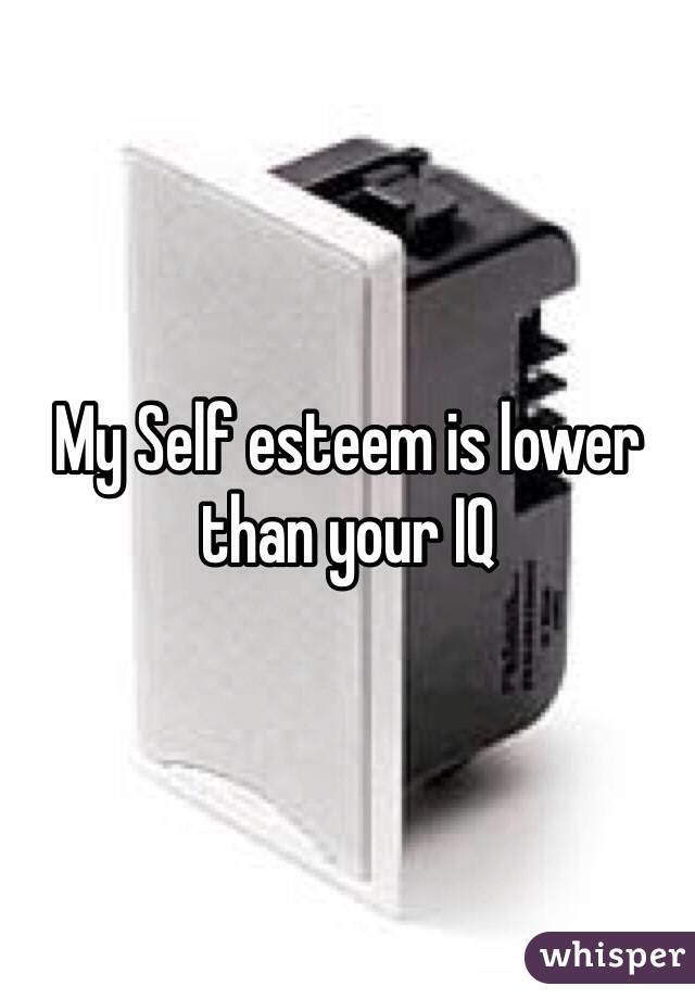 My Self esteem is lower than your IQ